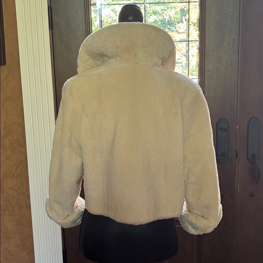 Sheared Beaver Jacket - image 4
